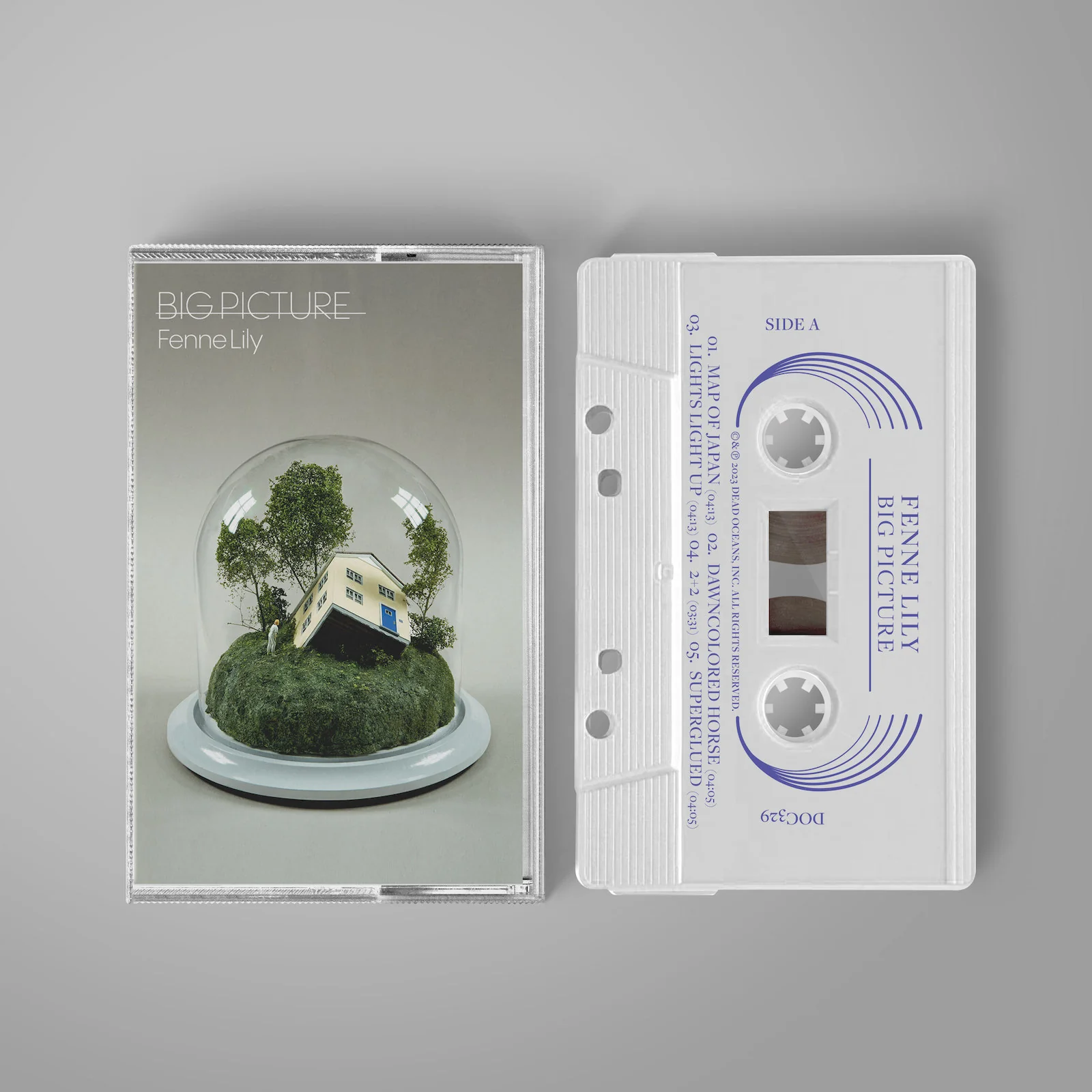 Big Picture - Image 4