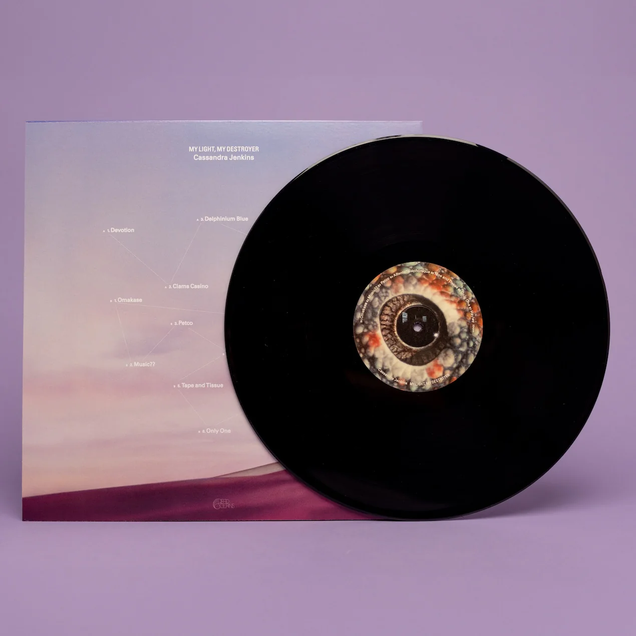 My Light, My Destroyer - Image 7